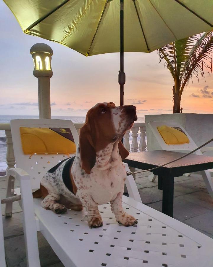 Hotel La Casona Beach El Guayabo Zewnętrze zdjęcie